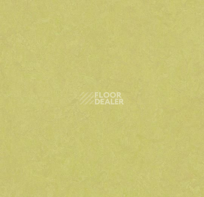 Линолеум Forbo Marmoleum Marbled Fresco 3885-388535 spring buds фото 1 | FLOORDEALER